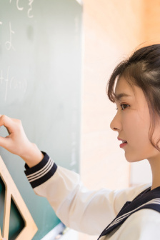 新仙踪林